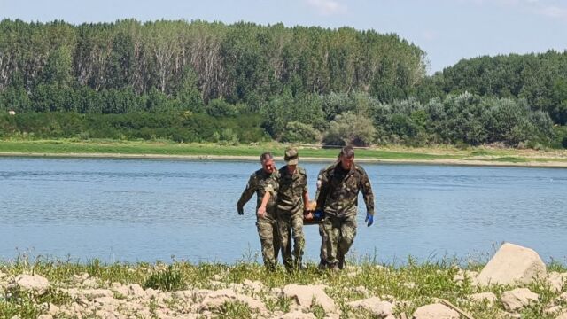 Гюлета изплуваха от Дунав край Силистра заради рекордно ниското ниво