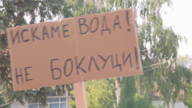 Снимка: 