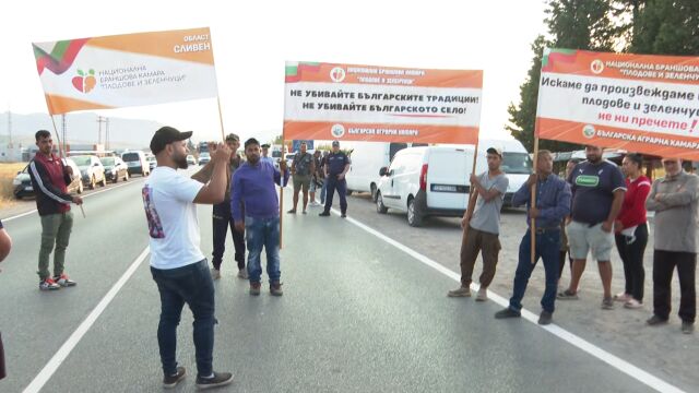 Снимка: Тонове плодове отиват на боклука: Производители протестират заради ниските изкупни цени в Сливен