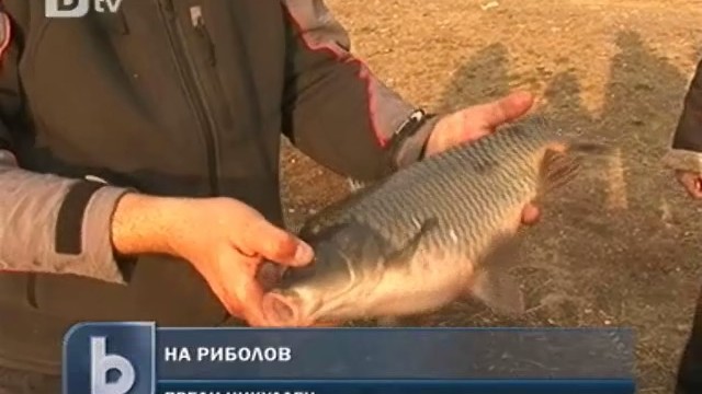 Снимка: Рибари: Шарана ще си го купим, то е ясно