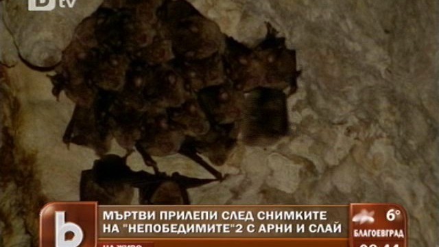 Снимка: Защо 
