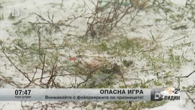 Снимка: Заря на живо!