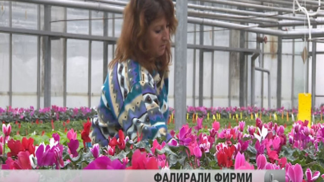 Снимка: bTV Новините - Обедна емисия на 29.12.2012