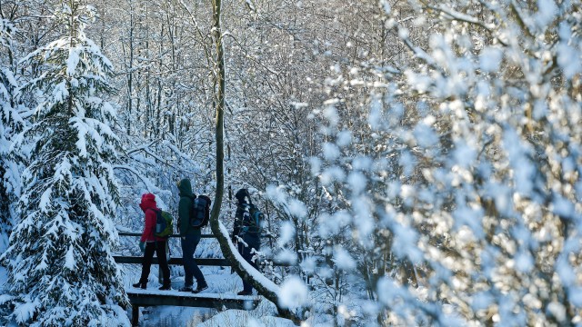 Снимка: Живакът в събота се качва до 8°