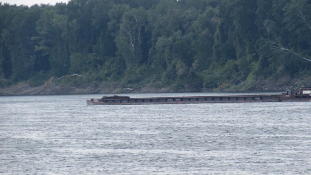Снимка: Няма отклонения от нормите за водите на река Дунав във връзка с потъналия румънски кораб