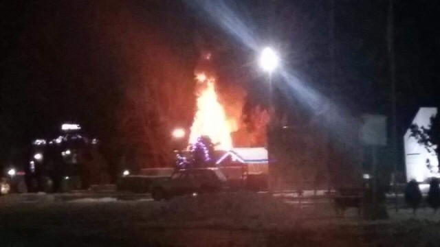 Снимка: Пиратка подпали елхата на площада в Бяла Слатина