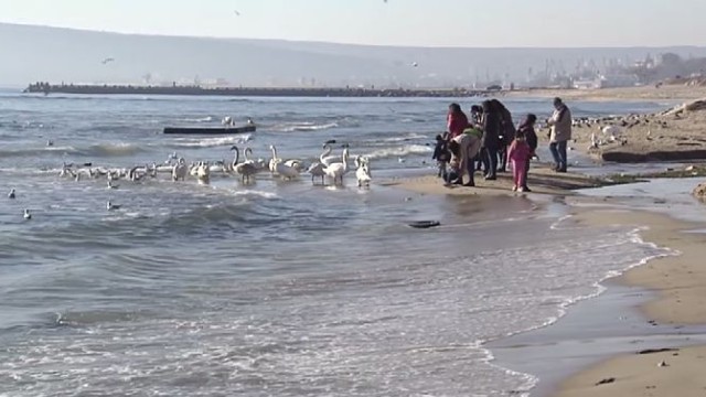 Снимка: Необичайно топли  коледни празници: По морето времето е почти пролетно