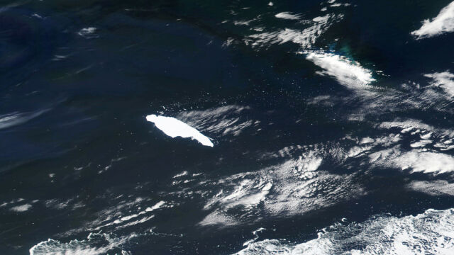 Топящият се леден шелф ще забави най силното океанско течение съобщи