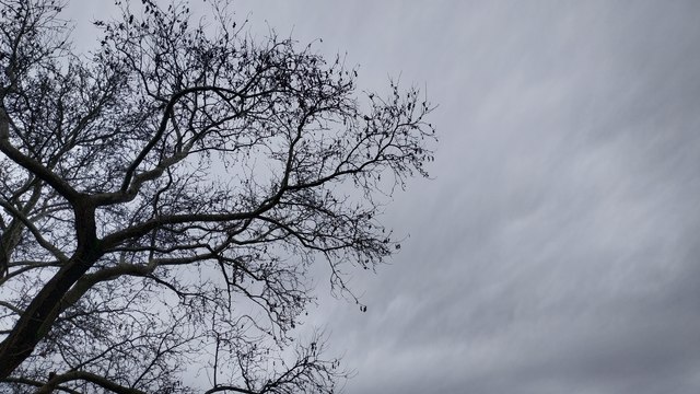 Снимка: Поглед към небето току що.