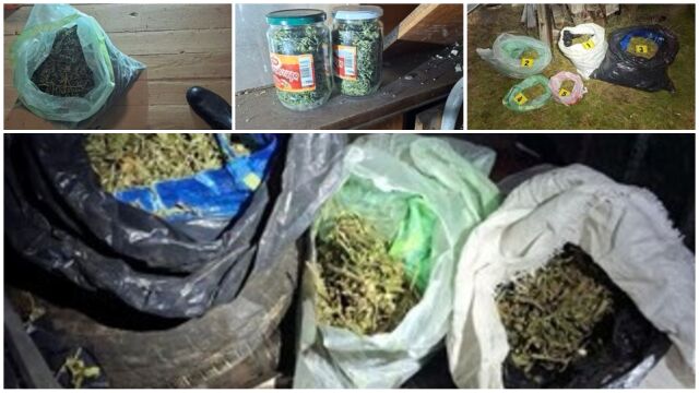 Снимка: 8 кг марихуана са иззети при спецакция на полицията в Бобов дол