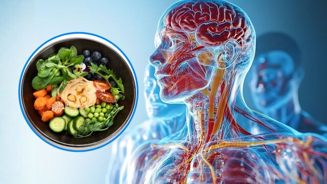 Снимка: Намаляване на калориите с 30% може да защити мозъка от остаряване