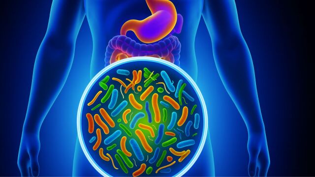 Снимка: Как чревният микробиом може да защити от диабет тип 2