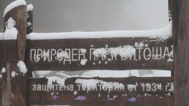 Снимка: Турист е починал на Витоша, друг е пострадал при подхлъзване