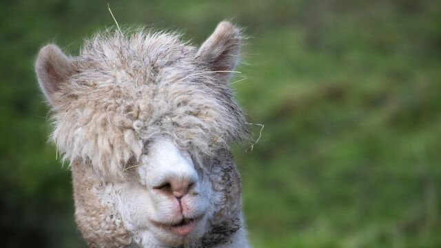 Снимка: Софийският зоопарк няма да работи от 1 до 4 януари