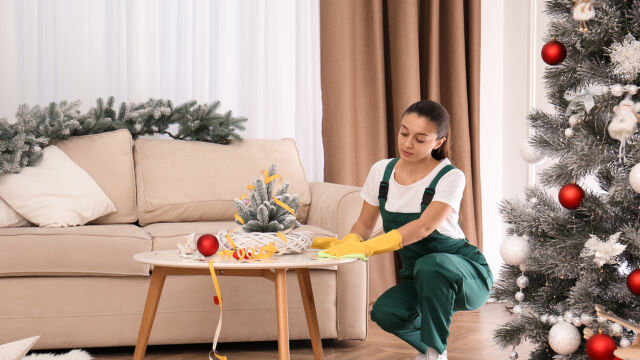 Снимка: Новогодишно почистване на дома бързо и лесно - да, възможно е!