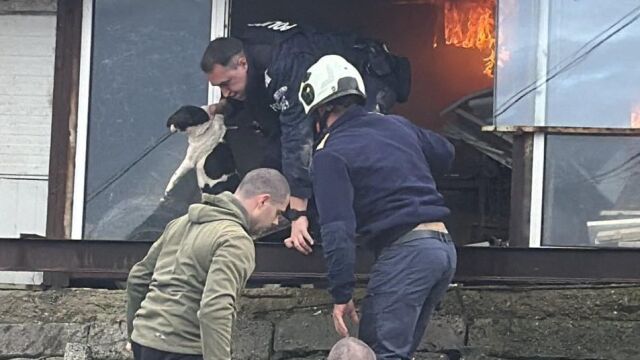 Полицаи спасиха домашни животни от горяща къща в Бургас (СНИМКИ)