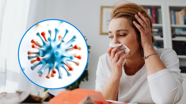 Снимка: Митове и факти за настинката: Лечение и превенция