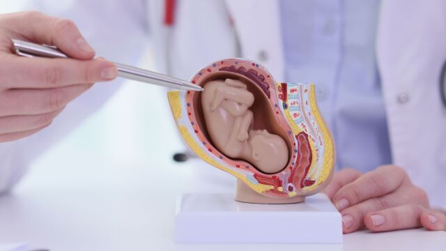 Снимка: „Изкуствена утроба“ може да спаси живота на недоносени бебета