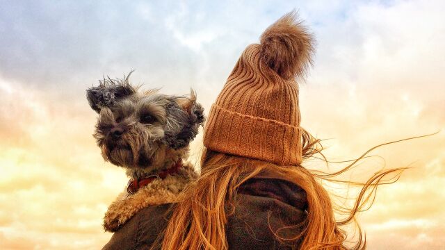 Силен вятър в почти цялата страна в понеделник – 29 декември