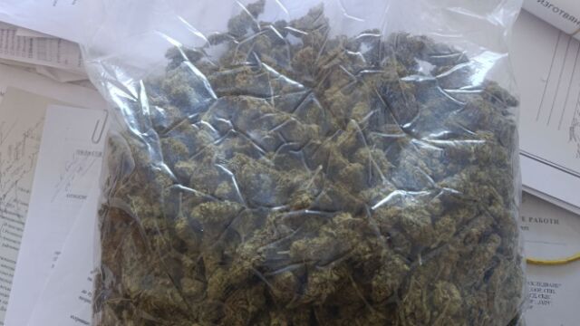 Снимка: Иззеха 800 грама марихуана и 215 грама амфетамин от частен имот край Добрич