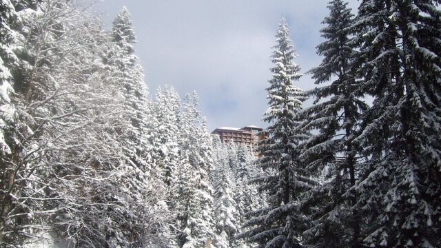 Снимка: Повдигат обвинение на сина на Атанас Бобоков за притежание на наркотици с цел разпространение