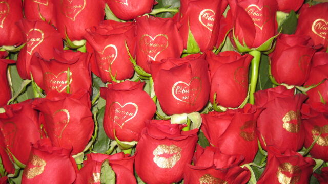 Снимка: Цветна романтика: Топ 5 на най-подходящите цветя за Свети Валентин