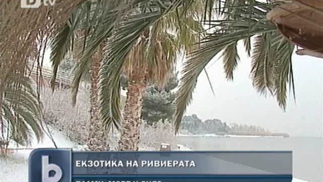 Снимка: Не мръзнем само ние - студът взе още жертви по света