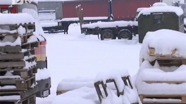 Снимка: И дървата за огрев стават лукс