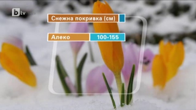 Снимка: Времето - Късна емисия - 24.12.2013 г.