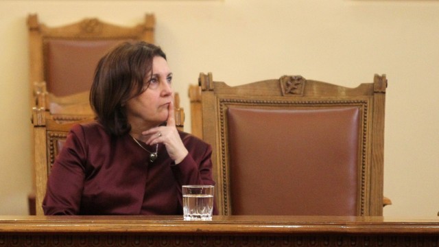 Снимка: Румяна Бъчварова: България отпраща месечно по 40 мигранти