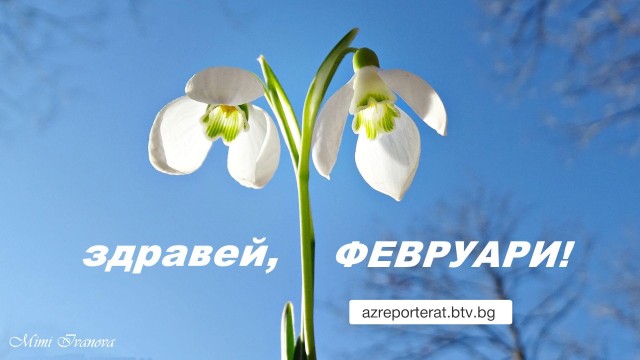 Снимка: Необичайно топло