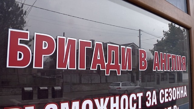 Снимка: Фирмата, изпратила българите във Великобритания, е в процедура на отнемане на лиценза