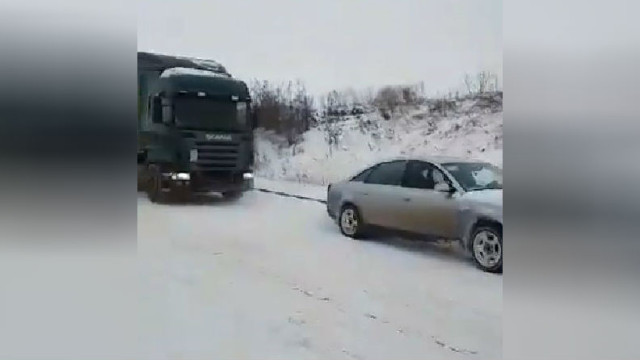 Снимка: „Куатро” влекач, шейна с кучета и други начини да се придвижите в снега