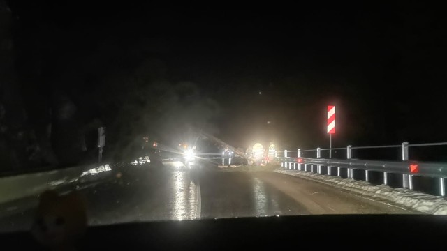 Снимка: Бурята в Смолянско: Паднали дървета затрудниха движението по пътя Широка лъка – Стойките