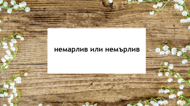 Снимка: Най-трудните думи на 2023 г. – проверете знаете ли как се пишат правилно (ТЕСТ)