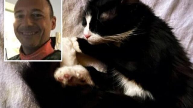 Снимка: Разследват лекар, спасил котка, след падане от 6-ия етаж 