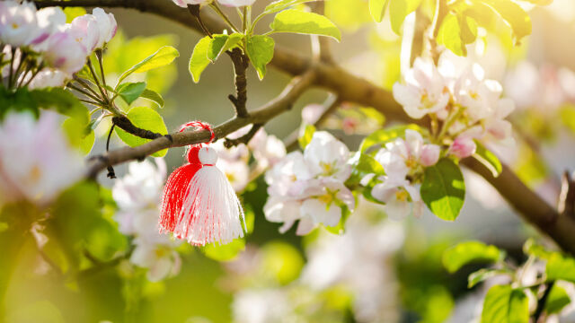 Снимка: Мартеницата - докога се носи? (СНИМКИ + ВИДЕО)