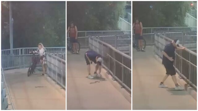 Отровна змия вдигна в паника сред пътниците на жп гара в Сидни