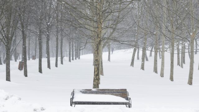 Снимка: Нова студена вълна скова Румъния, в Букурещ зимата се завърна с 15 см снежна покривка