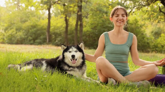 Снимка: Защо Gen Z отглеждат домашни любимци, а не деца? 