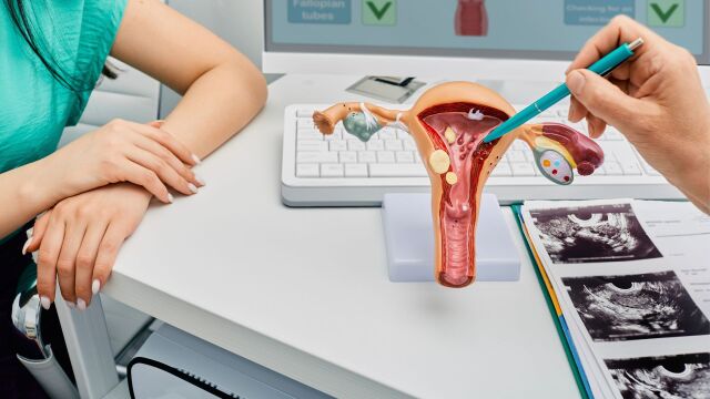 Снимка: Ендометриозата може да стане приоритет в българското здравеопазване