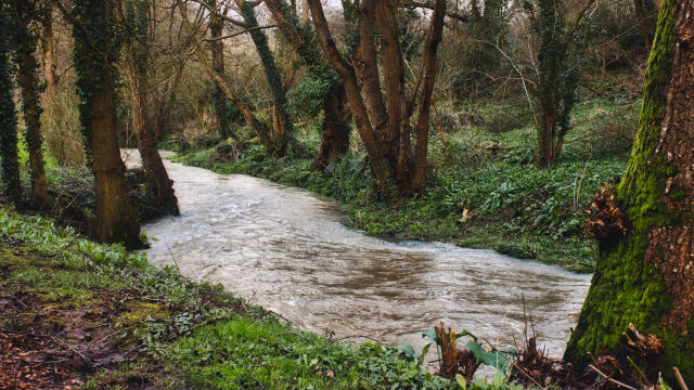 Снимка: Придошла река отнесе и уби мъж 
