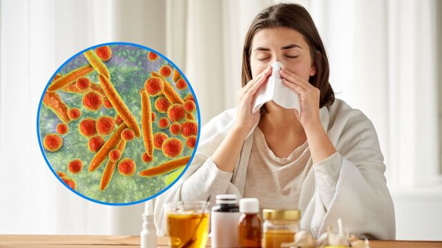 Снимка: 10 причини, поради които продължавате да се разболявате