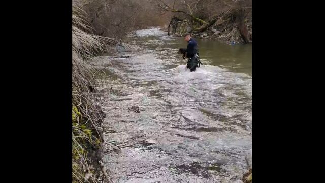 Снимка: Пожарникари от Девин спасиха ловно куче, озовало се в буйните води на река (ВИДЕО)