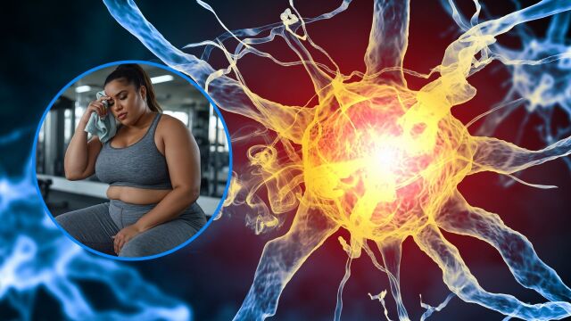 Снимка: Как хормоните влияят на теглото повече от калориите