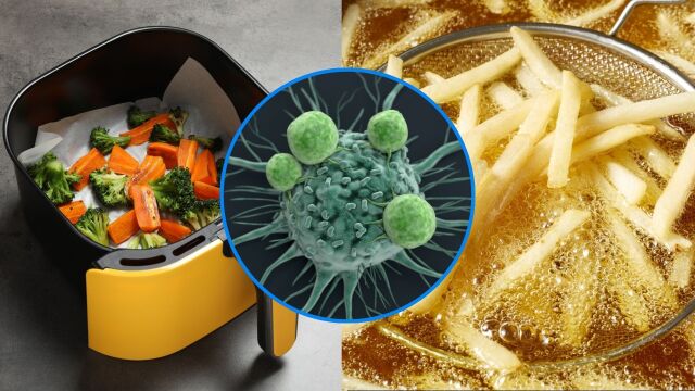 Снимка: Еър фрайър и фритюрник: Вредни ли са и крият ли риск от рак