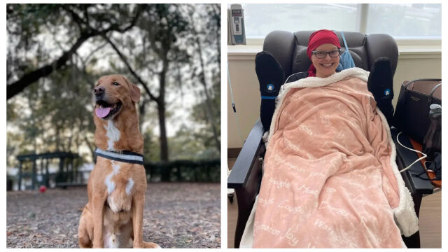 Снимка: „Бутна ме с нос по лявата гърда“: Куче спаси стопанката си от агресивен рак (СНИМКИ)