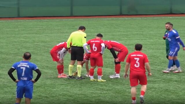 Снимка: Чайка пострада тежко на мач, футболист спаси живота ѝ (ВИДЕО)