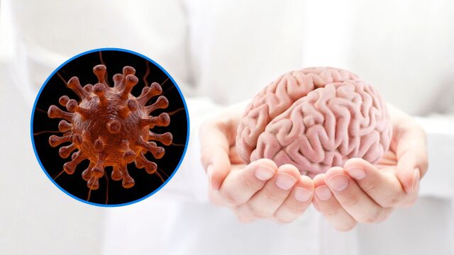Снимка: „Ковид“ или грип: Кой вирус причинява трайни мозъчни увреждания?