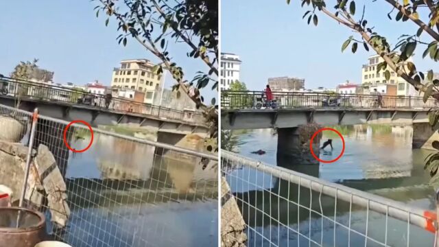 Снимка: Мъж хвърли детето си през мост по време на спор със съпругата си. Не е ясно дали полицията разследва